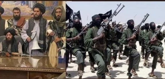 سازمان پیمان امنیت جمعی از جابجایی جنگجویان داعش در شمال افغانستان خبر داد سازمان پیمان امنیت جمعی از جابجایی جنگجویان داعش در شمال افغانستان خبر داد