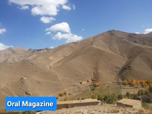 خشکسالی؛ تهدید جدی برای باشندگان بهسود خشکسالی؛ تهدید جدی برای باشندگان بهسود