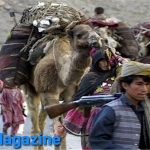 کوچیها از باشندگان ولسوالی ناور خونبها میخواهد کوچیها از باشندگان ولسوالی ناور خونبها میخواهد