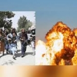 قتل ظواهری؛ جهان و منطقه باید وحشت را در سرچشمه خود قرار دهند