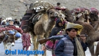 کوچی‌ها از باشندگان ولسوالی ناور خون‌بها می‌خواهد