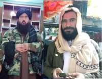 تمرکز طالبان در بغلان 